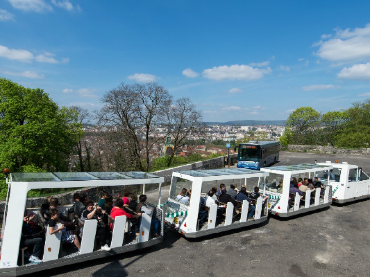 a group of people on a boat